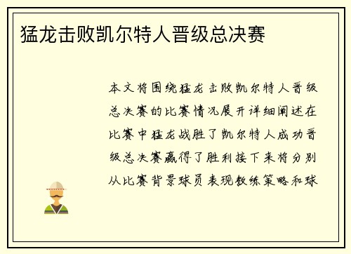 猛龙击败凯尔特人晋级总决赛